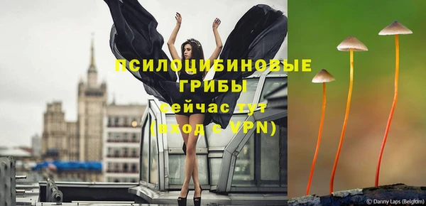 MDMA Premium VHQ Бородино