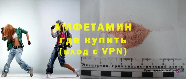 ECSTASY Богданович