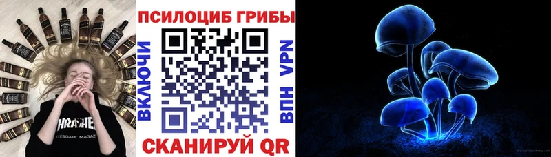 Купить закладки  Камызяк  Псилоцибиновые грибы прущие грибы 